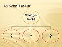 Заполните схему: