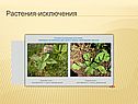 Растения-исключения