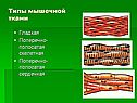 Типы мышечной ткани
