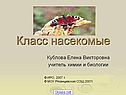 Класс насекомые