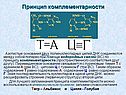 Принцип комплементарности