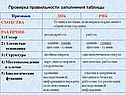 Проверка правильности заполнения таблицы