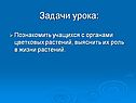 Задачи урока: Познакомить учащихся с органами цветковых растений,