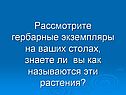 Рассмотрите гербарные экземпляры на ваших столах, знаете ли вы как