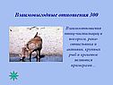 Взаимовыгодные отношения 300