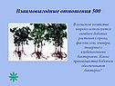 Взаимовыгодные отношения 500
