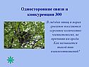 Односторонние связи и конкуренция 300