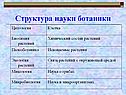 Цитология