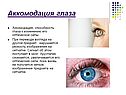Аккомодация глаза
