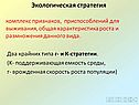 Экологическая стратегия