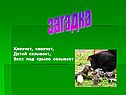 Загадка
