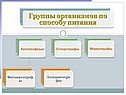 Энергетический обмен в биологии