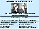 Направления эволюции