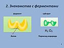 Знакомство с ферментами