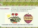 Процесс образования органических веществ