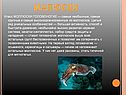 Малюски
