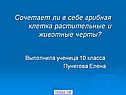 Сочетает ли в себе грибная клетка растительные и животные черты
