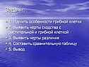 Задачи:
