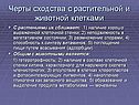 Черты сходства с растительной и животной клетками