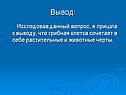 Вывод:
