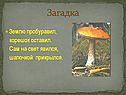 Загадка