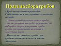 Правила сбора грибов