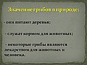 Значение грибов в природе: