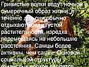 Гривистые волки ведут ночной и сумеречный образ жизни; в течение дня