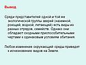 Вывод Среди представителей одной и той же экологической группы зверей