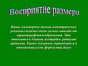 Восприятие размера