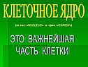 Клеточное ядро