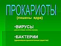 Вирусы (доклеточные формы жизни)