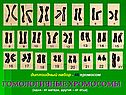 Гомологичные хромосомы