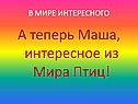 В мире интересного