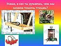 Чем мы можем помочь птицам
