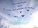 И небо без птиц не небо