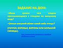 Задание на дом