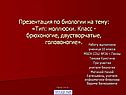 Тип: Моллюски