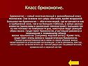 Класс Брюхоногие