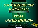 Лишайники