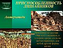 Приспособленность лишайников