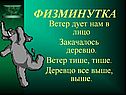 Лицо