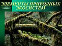 Элементы природных экосистем
