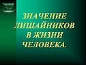 Значение лишайников в жизни человека