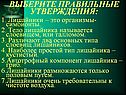 Выберите правильные утверждения