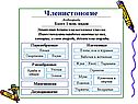 Характеристика насекомых