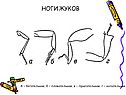 Ноги