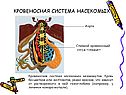 Кровеносная система
