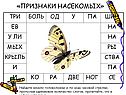 Признаки насекомых