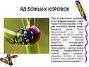 Яд божьих коровок